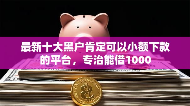 最新十大黑户肯定可以小额下款的平台，专治能借1000