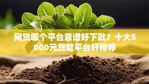 网贷哪个平台靠谱好下款？十大5000元贷款平台好推荐