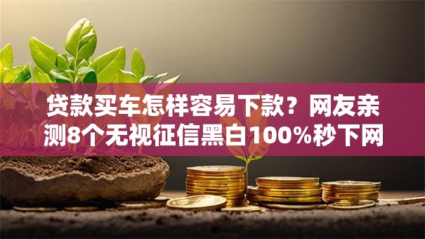贷款买车怎样容易下款?网友亲测8个无视征信黑白100%秒下网贷平台盘点 贷款买车怎样容易下款?网友亲测8个无视征信黑白100%秒下网贷平台盘点