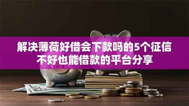 解决薄荷好借会下款吗的5个征信不好也能借款的平台分享