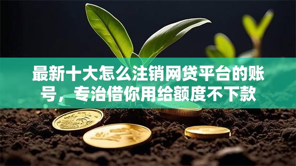 最新十大怎么注销网贷平台的账号，专治借你用给额度不下款