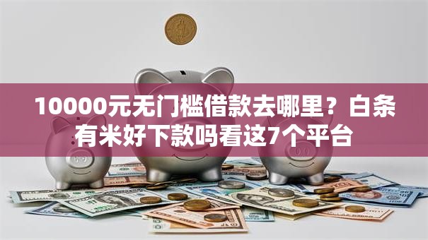 10000元无门槛借款去哪里？白条有米好下款吗看这7个平台
