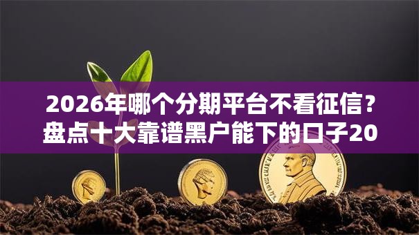 2026年哪个分期平台不看征信？盘点十大靠谱黑户能下的口子2025