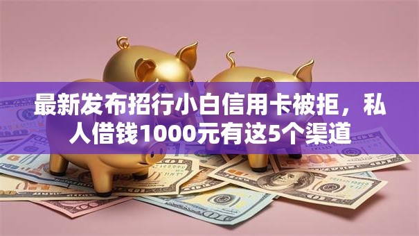 最新发布招行小白信用卡被拒，私人借钱1000元有这5个渠道