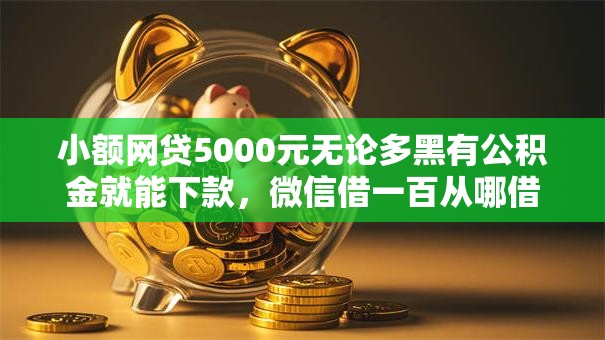 小额网贷5000元无论多黑有公积金就能下款，微信借一百从哪借钱的8个平台介绍