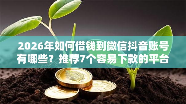2026年如何借钱到微信抖音账号有哪些？推荐7个容易下款的平台