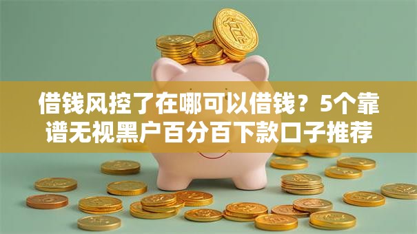 借钱风控了在哪可以借钱？5个靠谱无视黑户百分百下款口子推荐