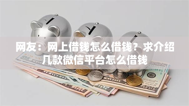 网友：网上借钱怎么借钱？求介绍几款微信平台怎么借钱