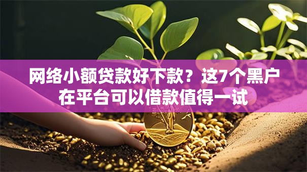 网络小额贷款好下款？这7个黑户在平台可以借款值得一试