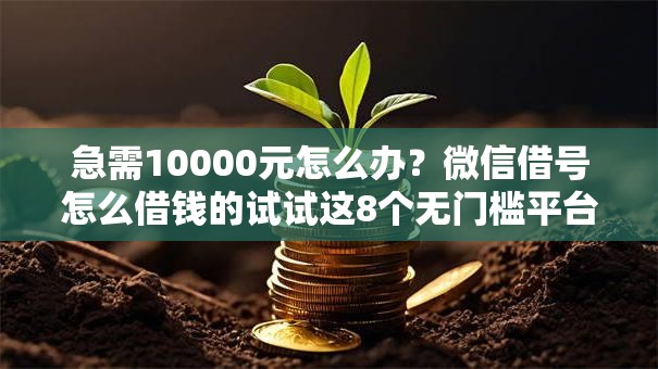 急需10000元怎么办？微信借号怎么借钱的试试这8个无门槛平台