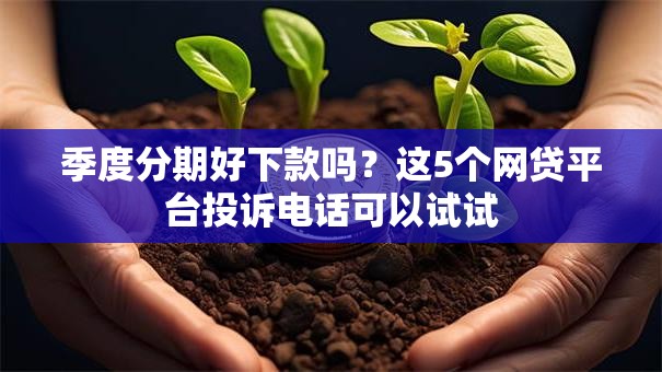 季度分期好下款吗？这5个网贷平台投诉电话可以试试