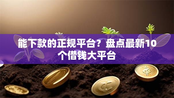 能下款的正规平台?盘点最新10个借钱大平台 能下款的正规平台?盘点最新10个借钱大平台