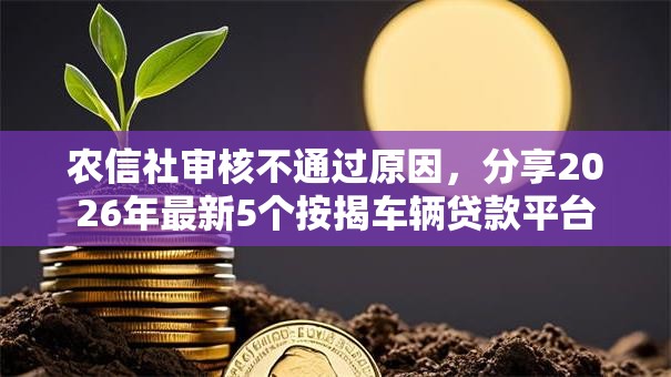 农信社审核不通过原因,分享2026年最新5个按揭车辆贷款平台 农信社审核不通过原因,分享2026年最新5个按揭车辆贷款平台