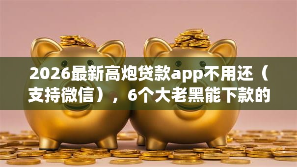 2026最新高炮贷款app不用还（支持微信），6个大老黑能下款的口子无私分享