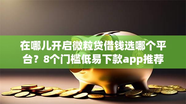 在哪儿开启微粒贷借钱选哪个平台？8个门槛低易下款app推荐
