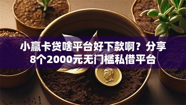 小赢卡贷啥平台好下款啊？分享8个2000元无门槛私借平台