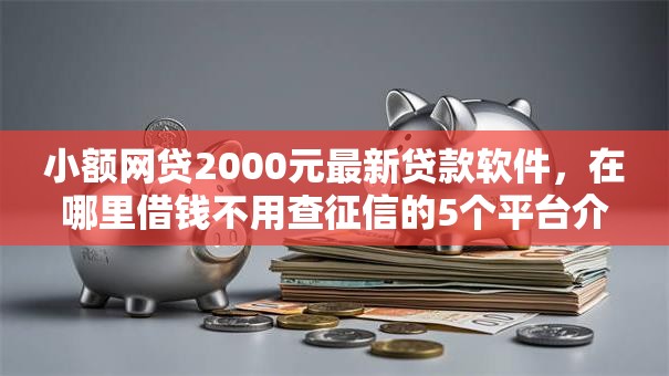 小额网贷2000元最新贷款软件，在哪里借钱不用查征信的5个平台介绍