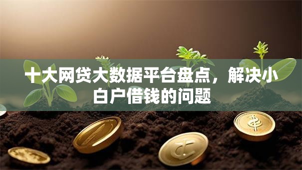 十大网贷大数据平台盘点，解决小白户借钱的问题