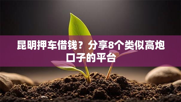 昆明押车借钱？分享8个类似高炮口子的平台