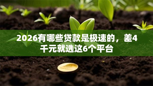 2026有哪些贷款是极速的，差4千元就选这6个平台