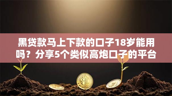 黑贷款马上下款的口子18岁能用吗？分享5个类似高炮口子的平台