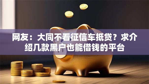 网友：大同不看征信车抵贷？求介绍几款黑户也能借钱的平台