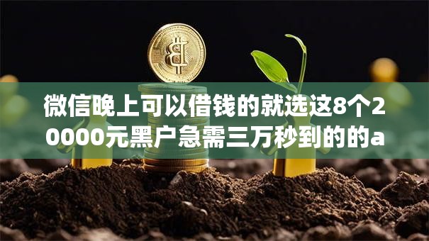 微信晚上可以借钱的就选这8个20000元黑户急需三万秒到的的app