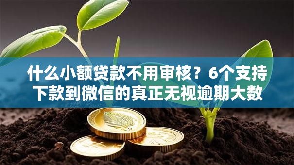什么小额贷款不用审核？6个支持下款到微信的真正无视逾期大数据的网贷软件