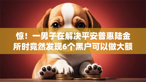 惊！一男子在解决平安普惠陆金所时竟然发现6个黑户可以做大额贷款app，事后分享了出来