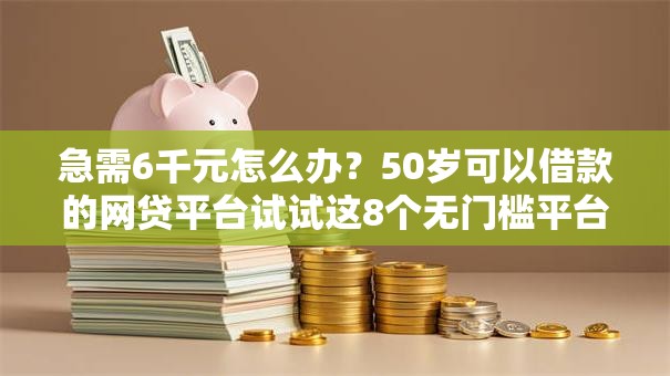 急需6千元怎么办？50岁可以借款的网贷平台试试这8个无门槛平台