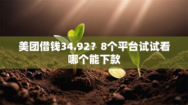 美团借钱34.92?8个平台试试看哪个能下款 美团借钱34.92?8个平台试试看哪个能下款