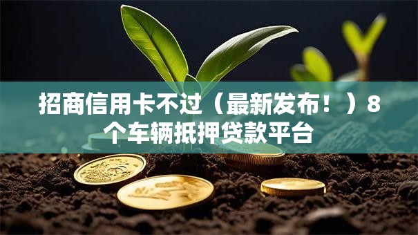 招商信用卡不过（最新发布！）8个车辆抵押贷款平台