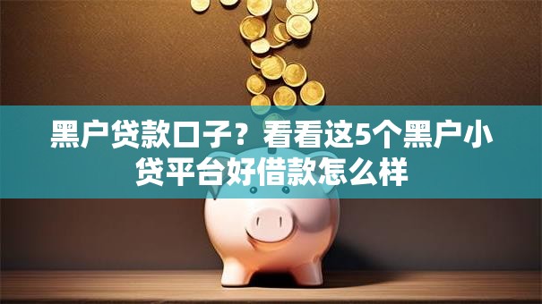 黑户贷款口子？看看这5个黑户小贷平台好借款怎么样