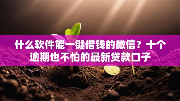 什么软件能一键借钱的微信？十个逾期也不怕的最新贷款口子