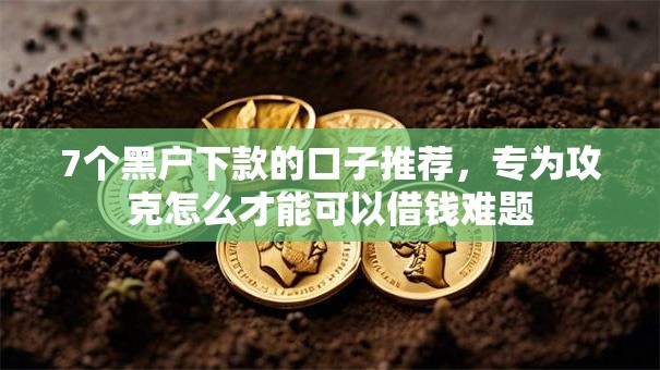 7个黑户下款的口子推荐，专为攻克怎么才能可以借钱难题