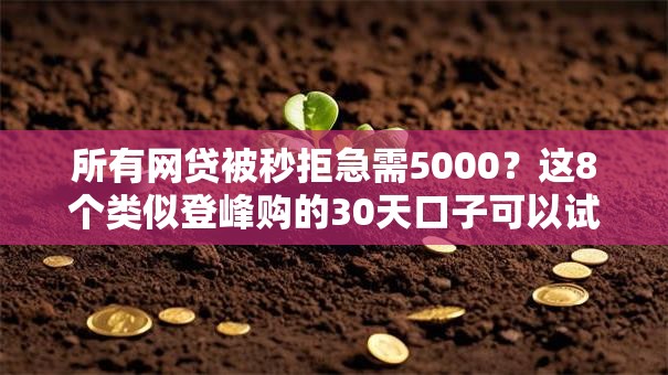 所有网贷被秒拒急需5000？这8个类似登峰购的30天口子可以试试