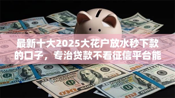 最新十大2025大花户放水秒下款的口子，专治贷款不看征信平台能下款吗知乎