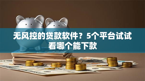 无风控的贷款软件？5个平台试试看哪个能下款