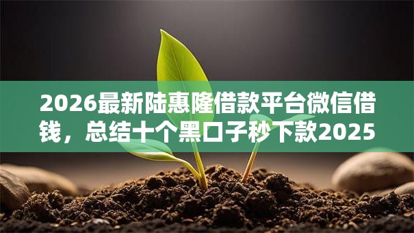 2026最新陆惠隆借款平台微信借钱,总结十个黑口子秒下款2025! 2026最新陆惠隆借款平台微信借钱,总结十个黑口子秒下款2025!