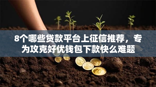 8个哪些贷款平台上征信推荐，专为攻克好优钱包下款快么难题