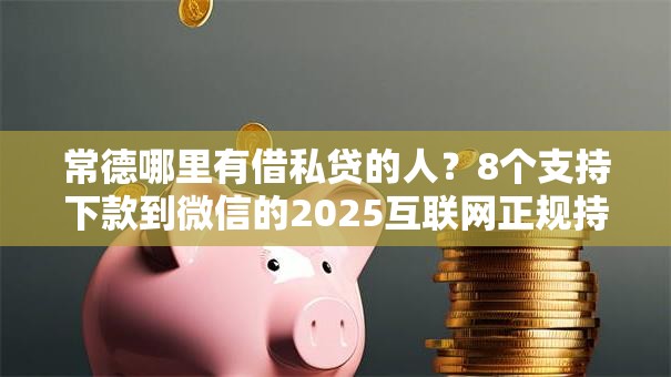 常德哪里有借私贷的人？8个支持下款到微信的2025互联网正规持牌贷款平台