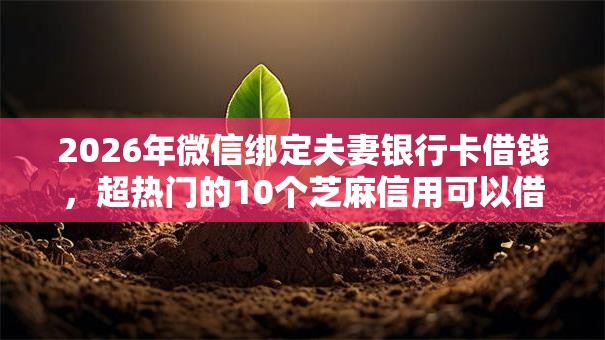 2026年微信绑定夫妻银行卡借钱，超热门的10个芝麻信用可以借钱的平台推荐