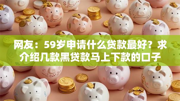 网友：59岁申请什么贷款最好？求介绍几款黑贷款马上下款的口子2025