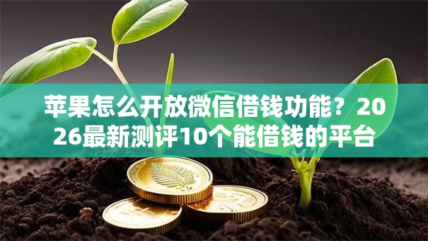 苹果怎么开放微信借钱功能？2026最新测评10个能借钱的平台