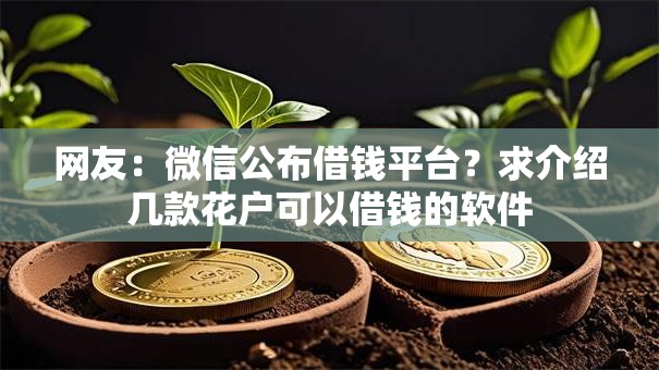 网友：微信公布借钱平台？求介绍几款花户可以借钱的软件