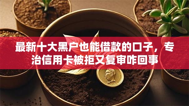 最新十大黑户也能借款的口子，专治信用卡被拒又复审咋回事