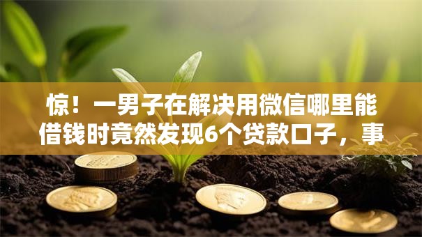 惊！一男子在解决用微信哪里能借钱时竟然发现6个贷款口子，事后分享了出来