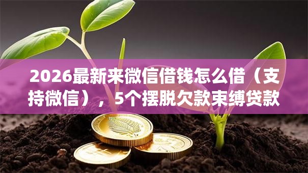 2026最新来微信借钱怎么借（支持微信），5个摆脱欠款束缚贷款新app无私分享