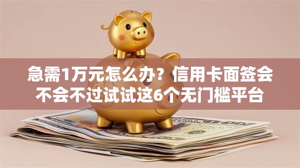 急需1万元怎么办？信用卡面签会不会不过试试这6个无门槛平台