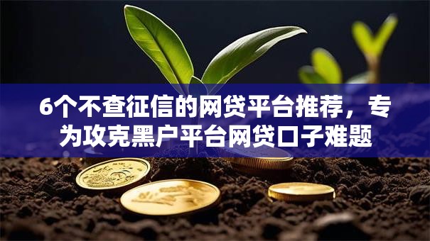 6个不查征信的网贷平台推荐，专为攻克黑户平台网贷口子难题